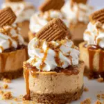 Mini Biscoff Cheesecakes Mini Biscoff Cheesecakes