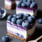 Raw Vegan Blueberry Cheesecake Raw Vegan Blueberry Cheesecake